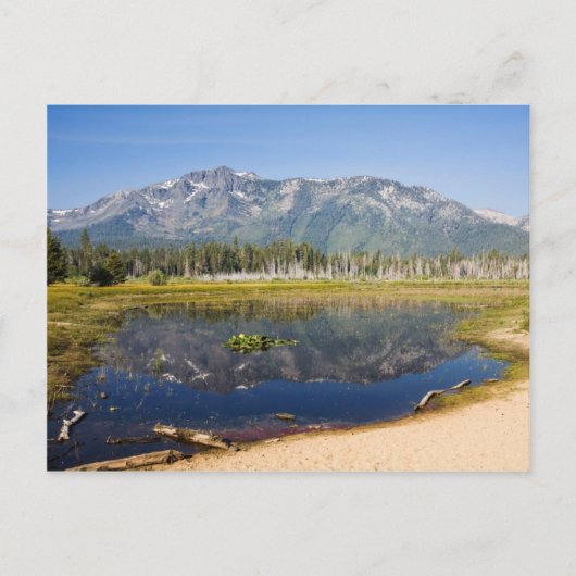 Tallac-Reflektion Postkarte (Vorderseite)