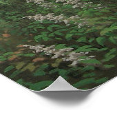 Tallahassee Fields 2 Poster (Ecke)