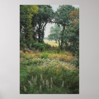 Tallahassee Fields 2 Poster