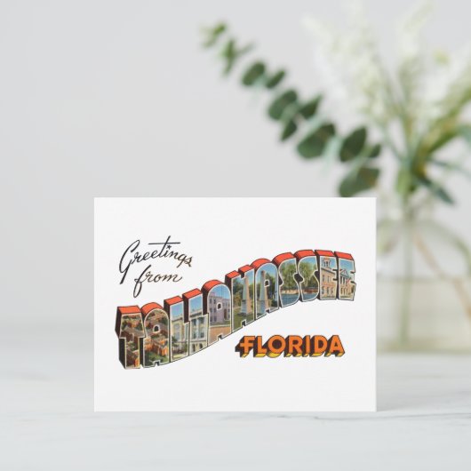 Tallahassee FL Postkarte (Stehend Vorderseite)
