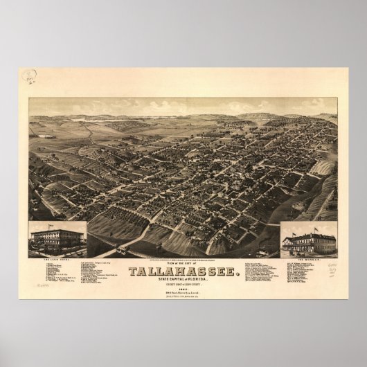 Tallahassee Florida 1885 Antik Panoramablick Karte Poster (Vorne)