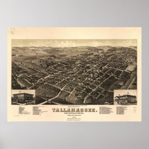 Tallahassee Florida 1885 Antik Panoramablick Karte Poster