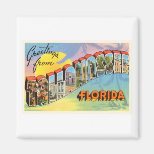 Tallahassee Florida alte Vintage Reise-Andenken Magnet