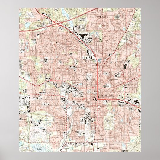 Tallahassee Florida Karte (1999) Poster (Vorne)