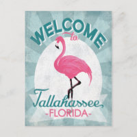 Tallahassee Florida Pink Flamingo Retro