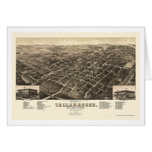 Tallahassee, panoramische Karte FLs - 1885
