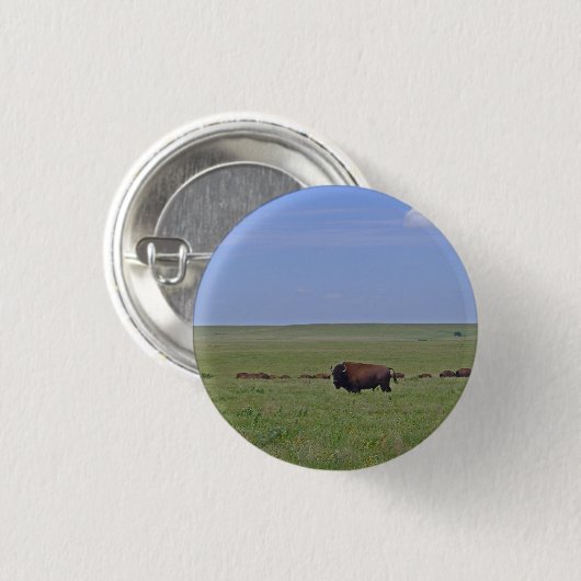 Tallgrass Prairie National Preserve - Kansas Button (Vorne & Hinten)
