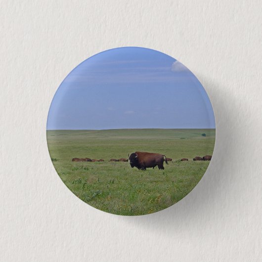 Tallgrass Prairie National Preserve - Kansas Button (Vorderseite)