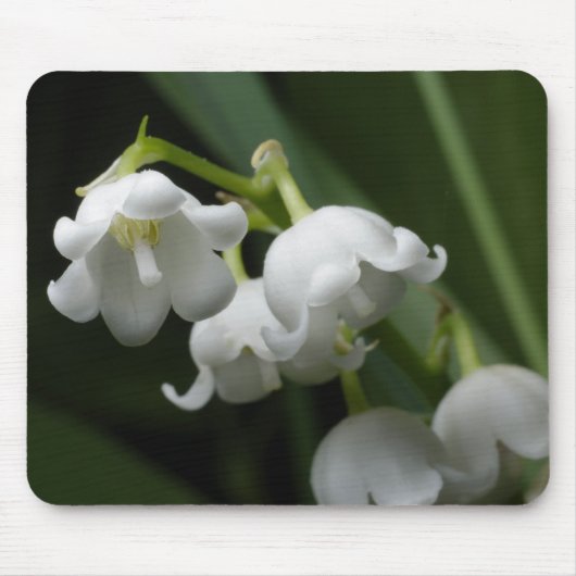 Tallilie Mousepad (Vorne)