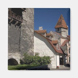 Tallin, Estland. Tallin ist gewissermaßen ein Magnet