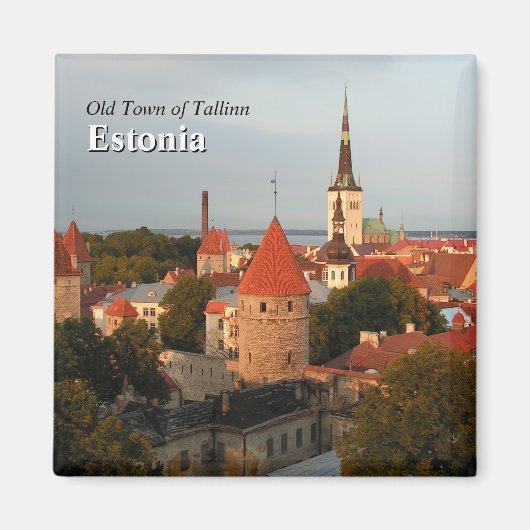 Tallinn Altstadt Estland Magnet (Vorne)
