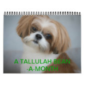 Tallulah Bean Calendar Niedlich Shih Tzu 2014 Kalender (Titelbild)