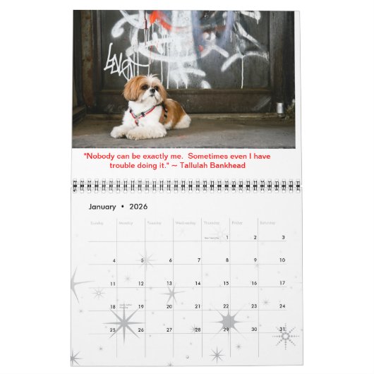 Tallulah Bean Calendar Niedlich Shih Tzu 2014 Kalender (Jan 2026)