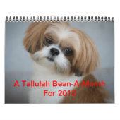 Tallulah Bean Calendar Niedlich Shih Tzu Kalender (Titelbild)