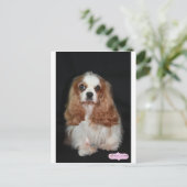 Tallulah Postkarte (Stehend Vorderseite)