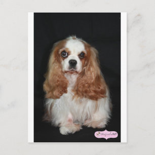 Tallulah Postkarte
