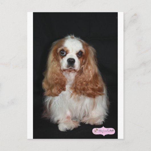 Tallulah Postkarte (Vorderseite)