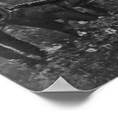 TALLYHO COACH PARTY c 1889 Poster (Ecke)