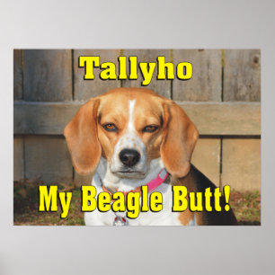 Tallyho mein Beagle-Hintern! Mürrischer Beagle Poster