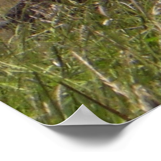 Talschmiede, PA-Protokollkabine Poster (Ecke)