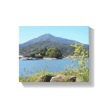 Tamalpais Greenbrae California