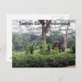 Taman Safari Postkarte (Vorne/Hinten)