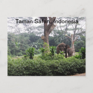 Taman Safari Postkarte