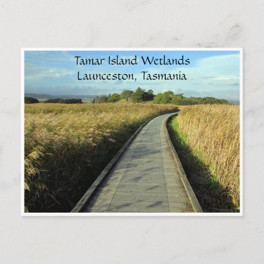Tamar-Feuchtgebiete Postkarte (Vorderseite)