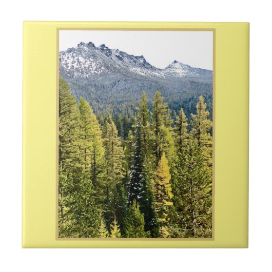 Tamarack Gold Fliese (Vorderseite)