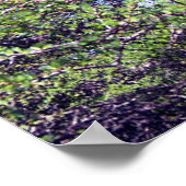 Tamarack Larch Tree 1 Poster (Ecke)