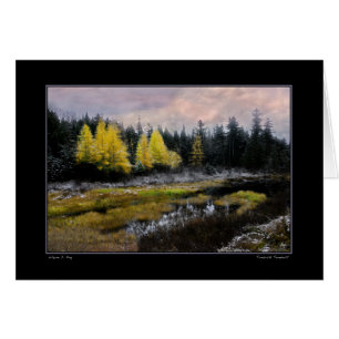 Tamarack Sturm