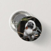 Tamarin Abzeichen Button (Vorne & Hinten)