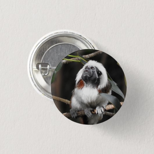 Tamarin Abzeichen Button (Vorne & Hinten)