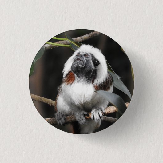 Tamarin Abzeichen Button (Vorderseite)