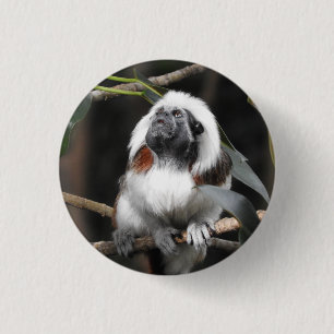 Tamarin Abzeichen Button
