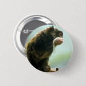 Tamarin-Affe Button (Vorne & Hinten)