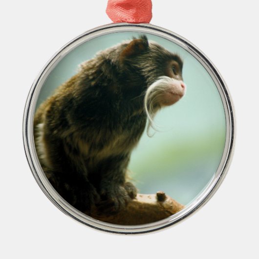Tamarin-Affe Ornament Aus Metall (Vorne)