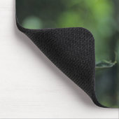 Tamarin (Leontopithecus rosalia) Mousepad (Ecke)