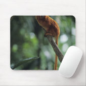 Tamarin (Leontopithecus rosalia) Mousepad (Mit Mouse)