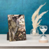 TAMARIN MONKEY FOTOPLATTE (Seite)