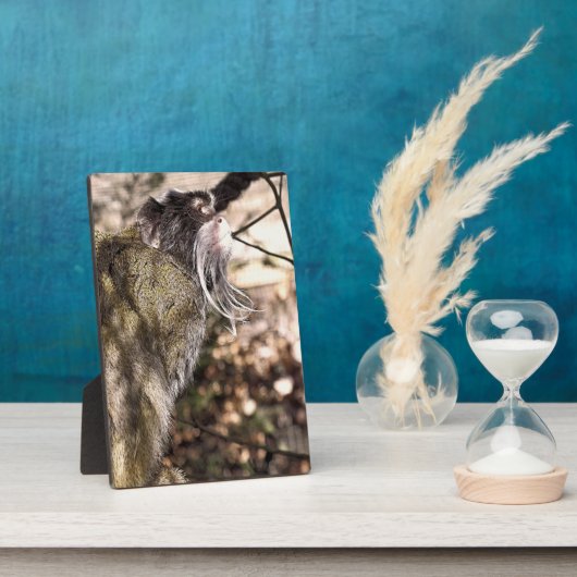 TAMARIN MONKEY FOTOPLATTE (Seite)