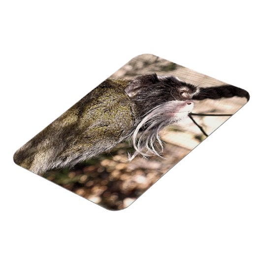 TAMARIN MONKEY MAGNET (Linke Seite)