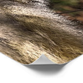 TAMARIN MONKEY POSTER (Ecke)