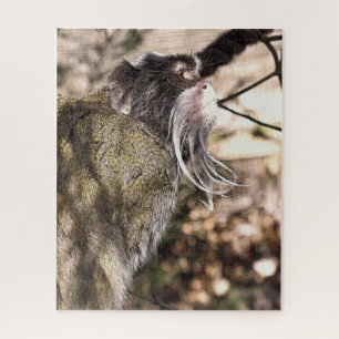 TAMARIN MONKEY PUZZLE