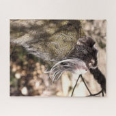 TAMARIN MONKEY PUZZLE (Horizontal)