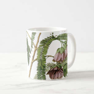 tamarind Blume von Redouté Kaffeetasse
