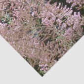 Tamarisk Blossom Tissue Paper Seidenpapier (Detail)