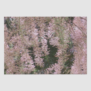 Tamarisk Blossom Tissue Paper Seidenpapier