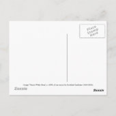 Tamati Waka Nene - Gottfried Lindauer Postkarte (Rückseite)