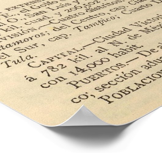 Tamaulipas, Mexiko Poster (Ecke)